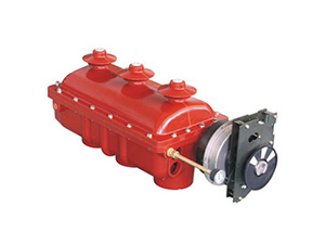 （MR）FL(R)N48-12D戶內交流高壓六氟化硫負荷開關